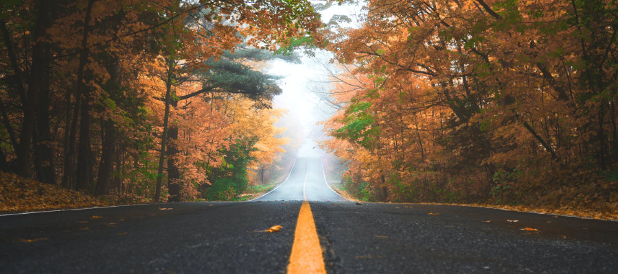 Foto von Patrick Tomasso auf Unsplash